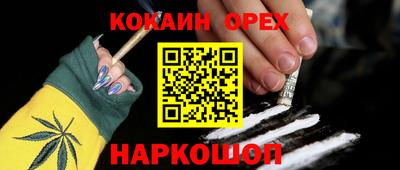 прущие грибы Лесосибирск